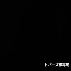 クリーニング済 ナイキ キャディバッグ ゴルフクラブ アイアン バッグ 中古 U