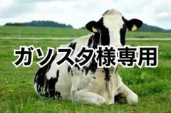 ホワイト　180cm×６本