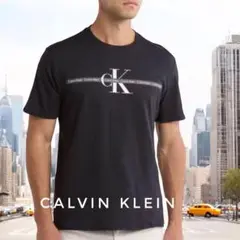 新品　Calvin Klein カルバン クライン メンズ　ロゴ　Tシャツ
