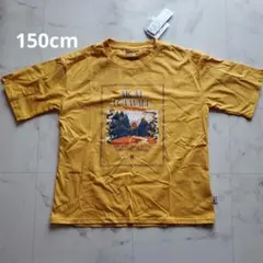 MOVE FORWARDTシャツ150cmイエロー綿100% USACOTTON