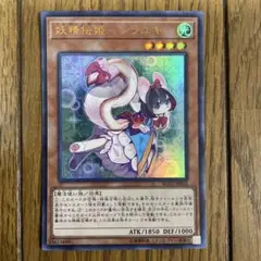 遊戯王　シラユキ　②