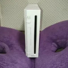 wii 本体　白　スーパーマリオ　ぷよぷよ通