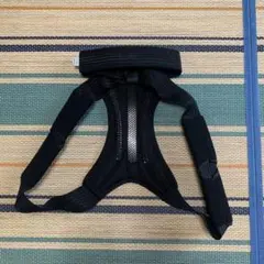 Item thumbnail for item 8a38da74-aec3-4578-ba31-26d932b04417