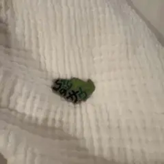 万博サウジアラビア館ピンバッチ