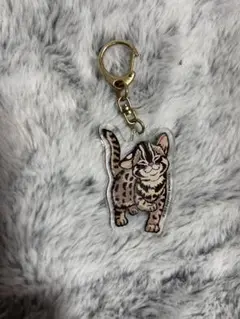 Item thumbnail for item ef6b1cd5-f828-4b6e-ad67-921fd2984389