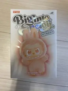 【正規品・未開封】Labubu Big into Energy 1箱