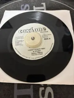 DELROY WILSON/ I Don't Know Why