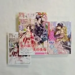 さようなら、旦那様。市井に隠れて生きることにしたので捜さないでください 他1冊