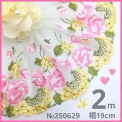 №250629 チュールレース