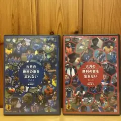 6月の勝利の歌を忘れない 日韓ワールドカップ 日本代表 中田英寿 真実の三十日間