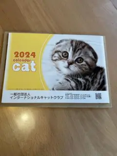 子猫カレンダー