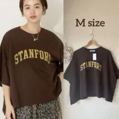 AMERICAN HOLIC★STANFORD BIGプルオーバー★M★新品