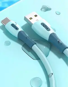 USB-A to Type C ケーブル タイプC