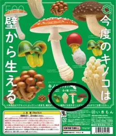 ネイチャーテクニカラー　NTC MONO＋ キノコマグネット１　4個セット