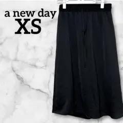 ❣️一点もの❣️ a new day ブラック レディース　フレアスカート XS