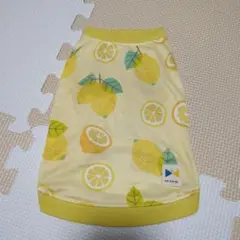 Item thumbnail for item 594514fc-d1d4-4837-96b4-6c0ca8ce30e0