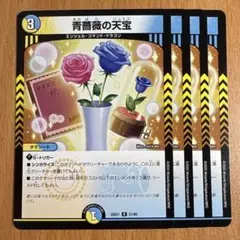 01324 青薔薇の天宝