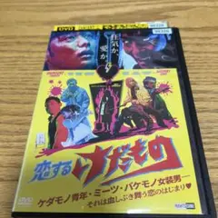 恋するけだもの　dvd
