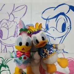 ドナルド　ぬいぐるみバッジ　2010・2015 2個まとめ売り