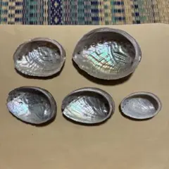 【447】アワビ　鮑　貝殻　セット　きらきら　光沢　シルバー　銀色　ミニ　大型