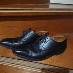 Item thumbnail for item ab6cba58-8449-48d2-b2a3-7806c234704b