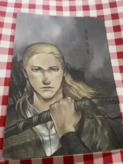 ロードオブザリング 同人誌 アラレゴ