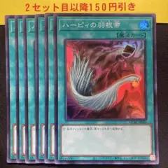 ハーピィの羽根帚　スーパー6枚