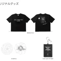 Item thumbnail for item 9f099485-4af2-4511-afbe-c41fb07a2a00