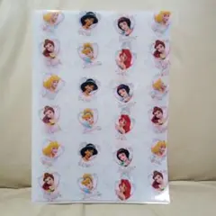 ディズニープリンセス A4クリアファイル