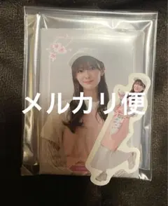 田村保乃　マグネット　セット　櫻坂46