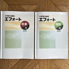 【値下げ】小学校実力練成 エフォート 社会 A & 理科 A 新訂版 中学受験