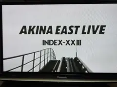 AKINA NKAMORI LIVE 2本セットVHSテープ