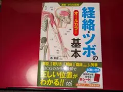 経絡・ツボの基本 オールカラー