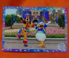 ディズニー　25周年　スペフォ　クールザヒート　ドナルド　グーフィー