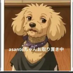 asanteちゃんご専用