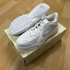 NikeZOOM FREAK5 100 26.0cm