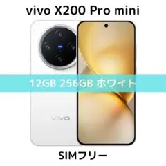 2025年最新】VIVO x200 pro 1tbの人気アイテム - メルカリ