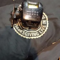 い*せ様 TEAM DAIWA TD2Hiオールドジャンク
