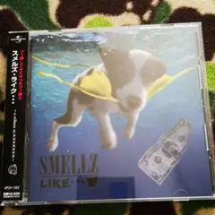SMELLZ LIKE *** トレビュート トゥ ニルヴァーナ NIRVANA