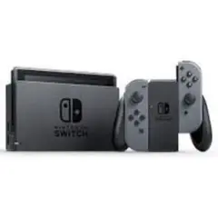 Nintendo Switch Joy-Con 有線コントローラー2個付属
