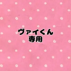 ヴァイくん専用