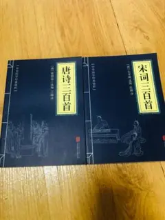 唐詩三百首・宋詞三百首 中国語原版2冊セット 中国語本