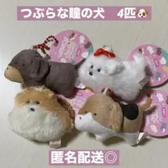 新品未使用　タグ付き　つぶらな瞳の犬と猫　ぷちマスコットBC　4匹セット　犬　猫