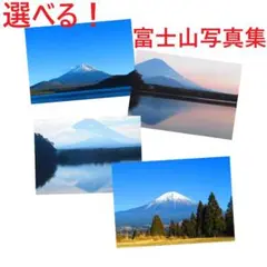 Item thumbnail for item d5bcf0b2-4be3-4fe8-b9fc-b0bae67c163d