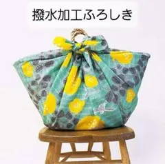 Item thumbnail for item c4119eb1-a7c8-4d0e-aaa8-dfe869556e92