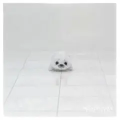 Item thumbnail for item d14b103f-939a-4ef0-8bba-8e8033f3affb