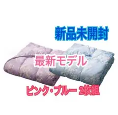 モリリン　ダウンケットS　2枚組　JTDF60S モリリン洗えるダウンケット2枚組 JTDF60S シングルセット《新品