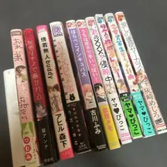 BL漫画まとめて10冊セット