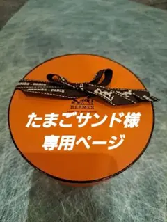 HERMES プリーツスカーフ