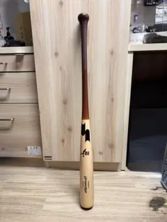 Item thumbnail for item ad569ff9-3f8a-4f4f-adf7-9483f7fb4a95